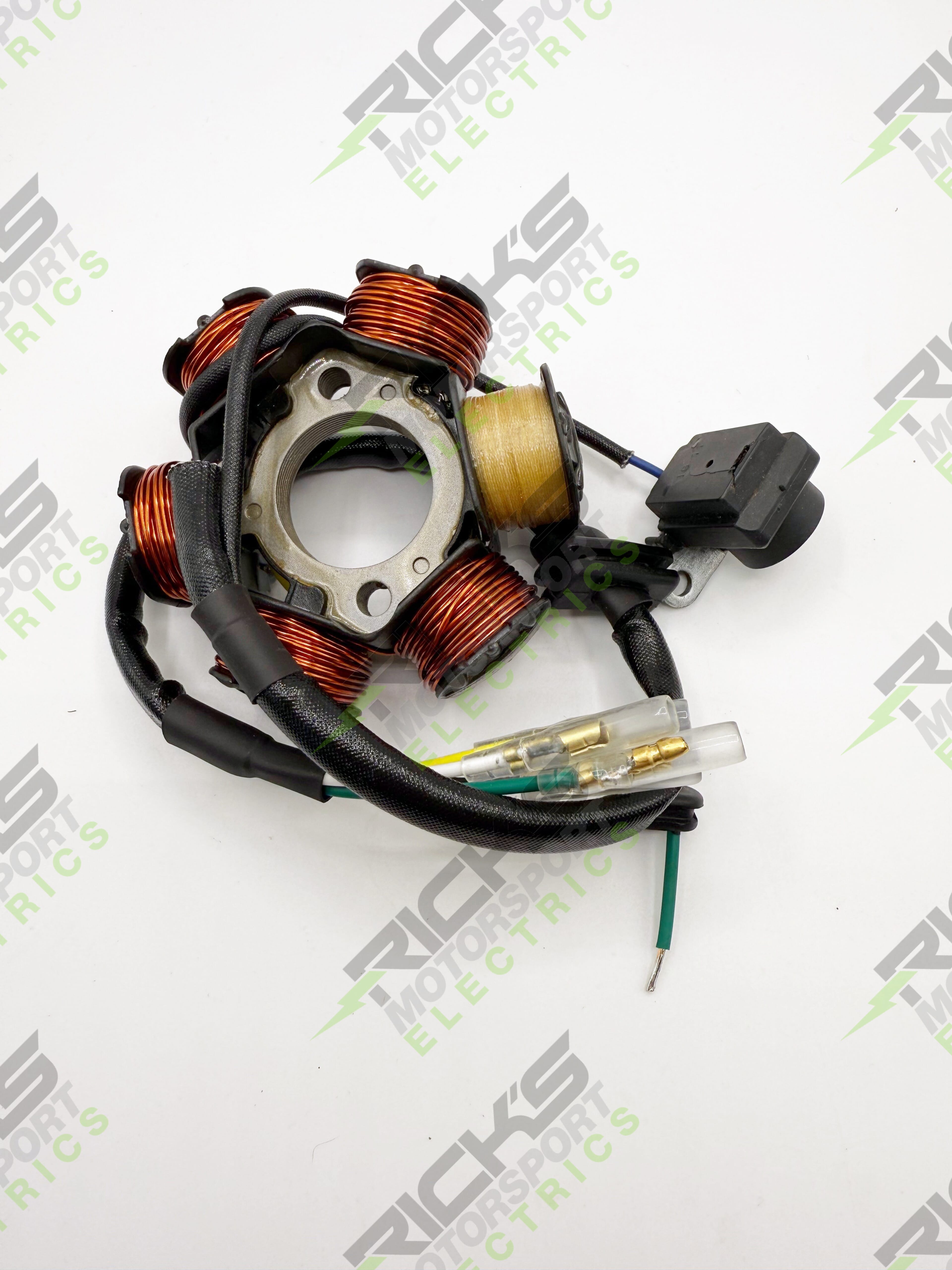 Rebuilt OEM Style Can Am Stator 20_B134