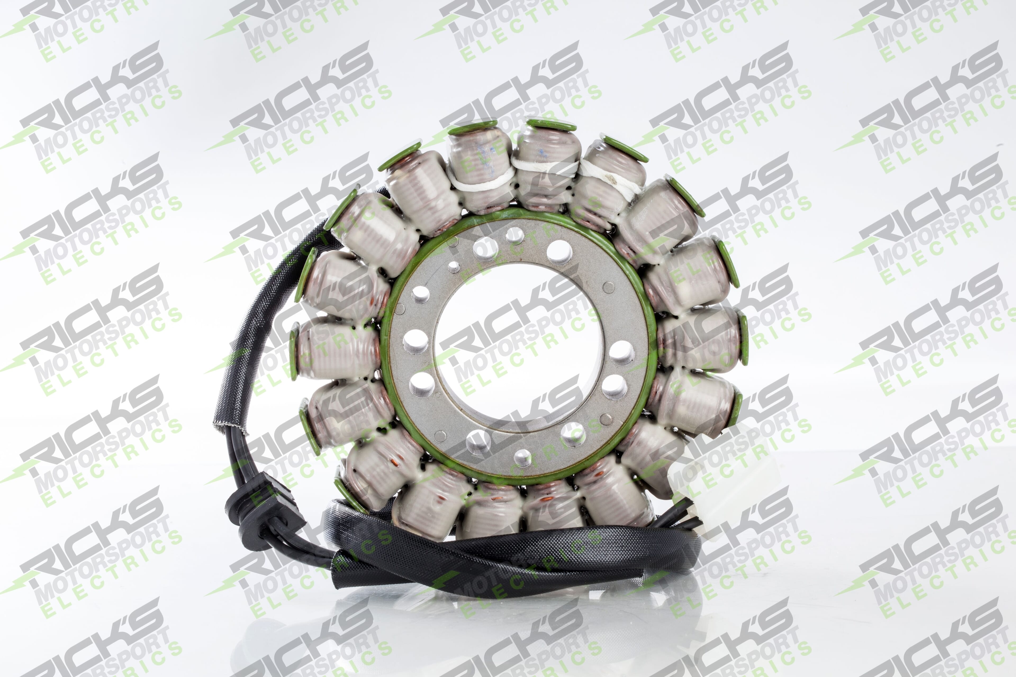 New OEM Style Triumph Stator 21_002