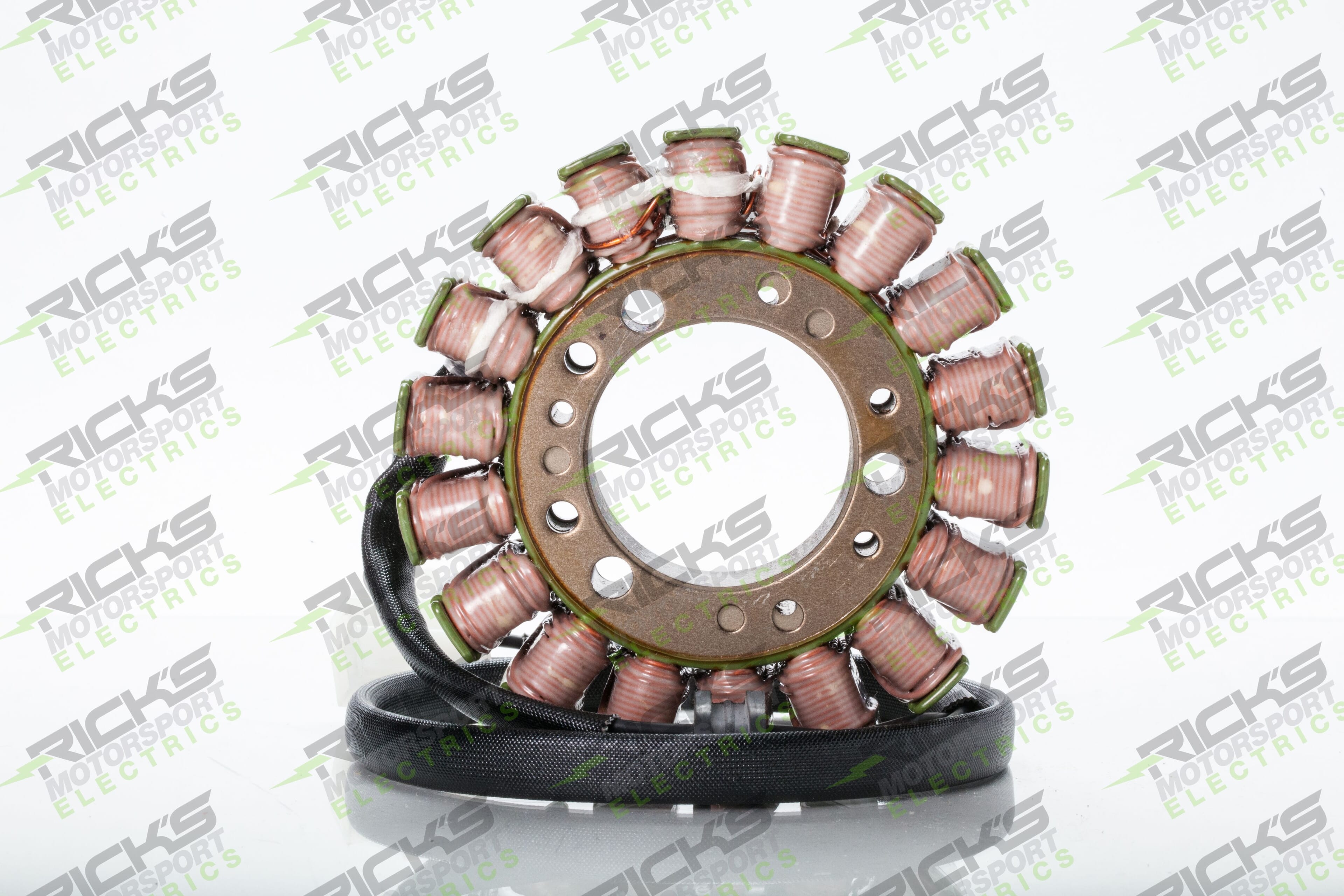 New OEM Style Triumph Stator 21_005