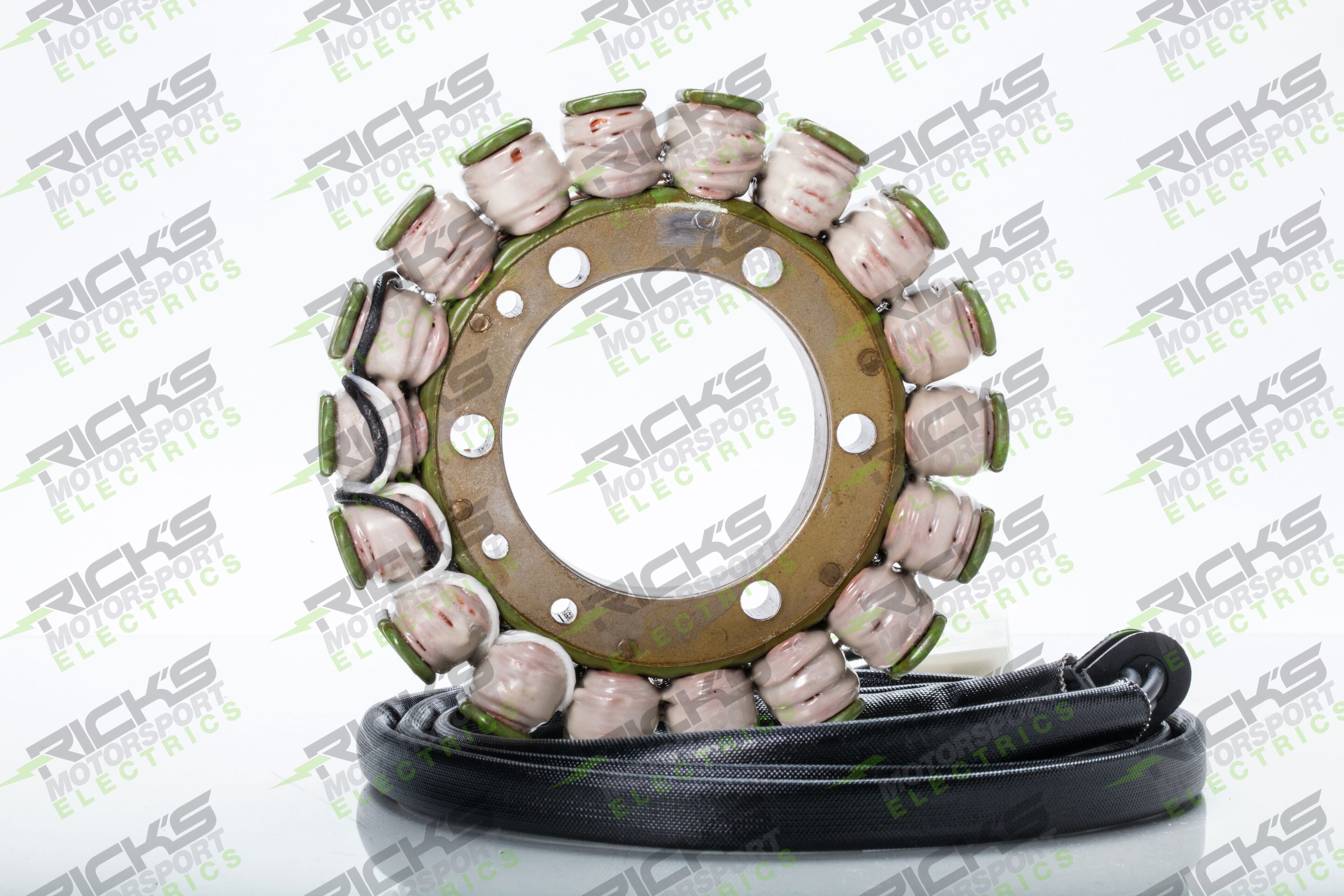 New OEM Style Triumph Stator 21_006